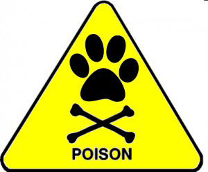 Poison dog sign