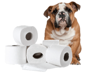 Toilet paper dog